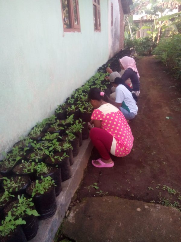 Warga Desa Sukodono, Latih Kemandirian Lewat Sayur Mayur di Tengah Pandemi