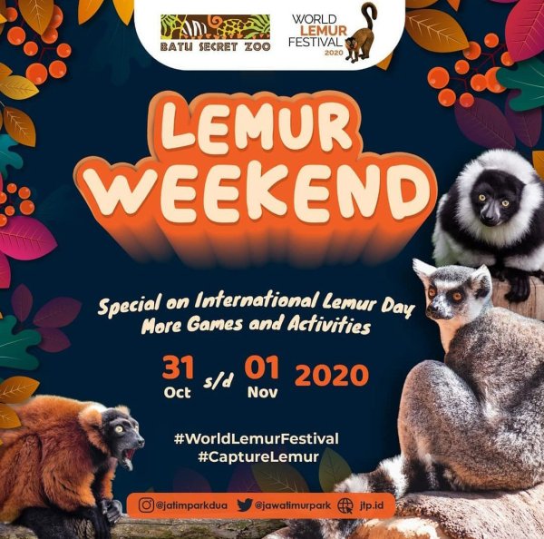 Lemur Weekend, Perayaan Hari Lemur Sedunia