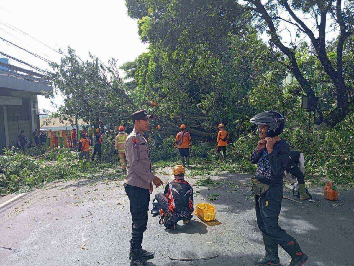 Polres Batu dan Instansi Terkait, Gercep Evakuasi Pohon Tumbang di Jalan Patimura