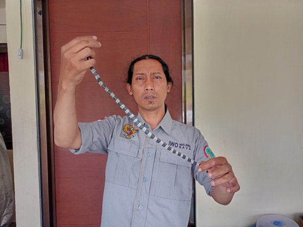 Penghuni Perumdin Veteran Kota Batu, Dihebohkan dengan Penemuan Ular Weling