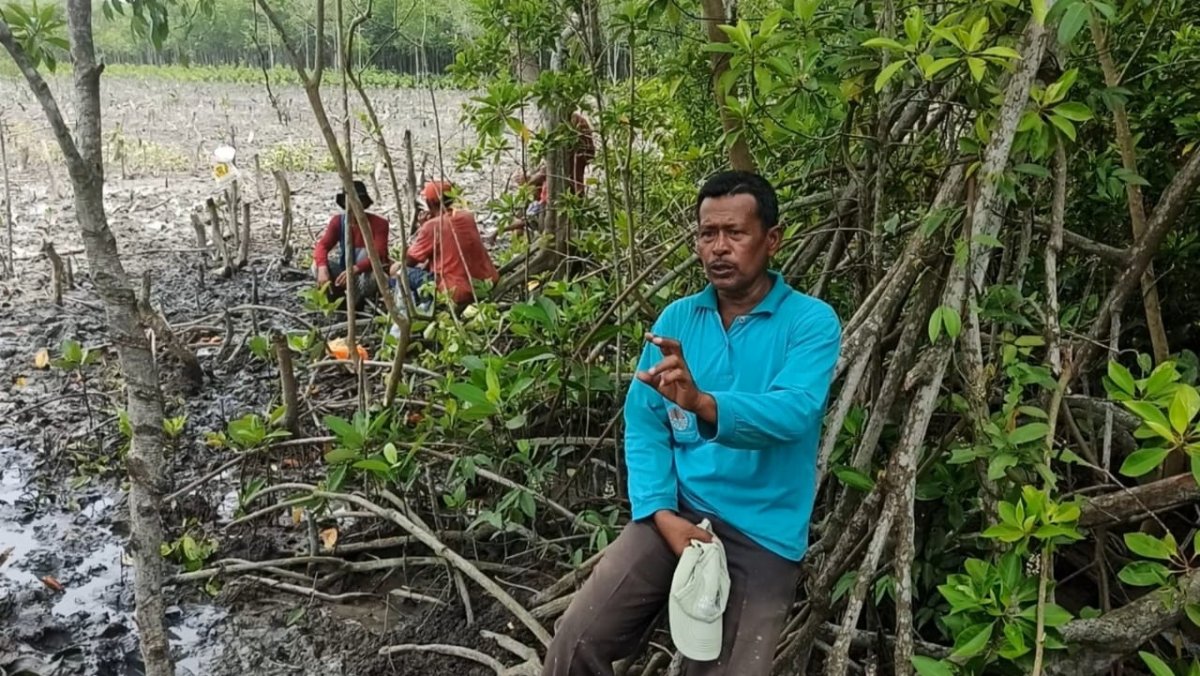Kiprah Azizi, 20 Tahun Berjibaku Hijaukan 456 HA Pesisir dengan Mangrove