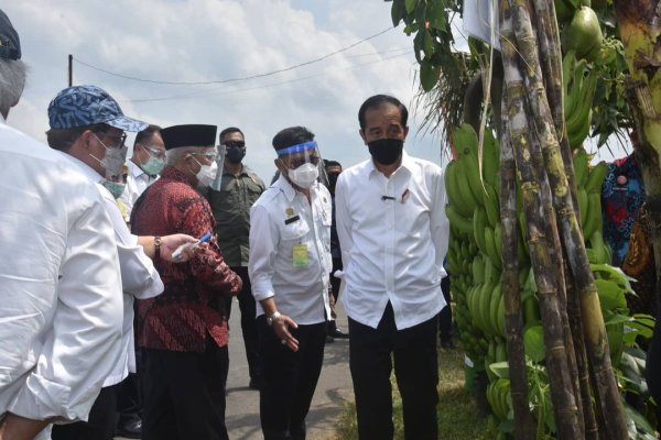 Presiden RI Meninjau Pisang Srimulyo, Pemdes Minta Pengembangan