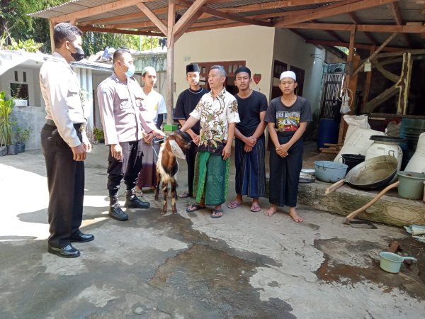 Polres Batu Potong 16 Ekor Kambing, Dibagikan ke Ponpes, Panti Asuhan dan Musala