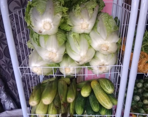 Bertahan Saat Pandemi, Warga Turen Jalankan Usaha PO-DO