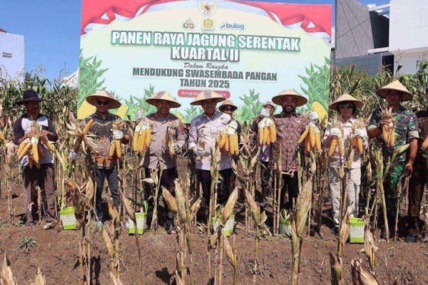 Kapolres Batu, AKBP Andi Bersama Forkopimda Kota Batu Panen Raya Jagung Serentak Kuartal II