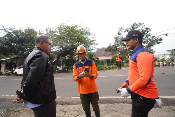 Pj. Wali Kota Batu Aries Turun ke Lapangan Bersihkan Pohon Tumbang Akibat Angin Kencang