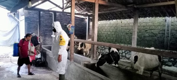 Gandeng Dinas Terkait, Polsek Kasembon Gencarkan Penyemprotan Disinfektan