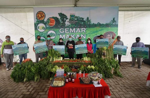 Gemar Makan Sayur, Panen Pangan Alternatif dan Pembagian Alsintan