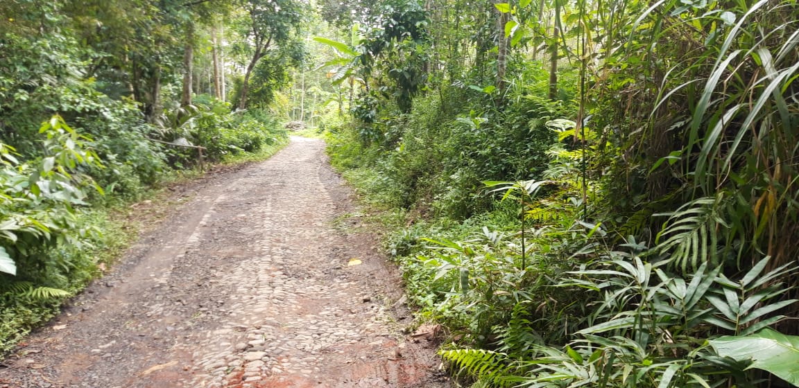 Jalan Desa Karangnongko Baran Rusak, Warga Butuh Perhatian dari Pemerintah