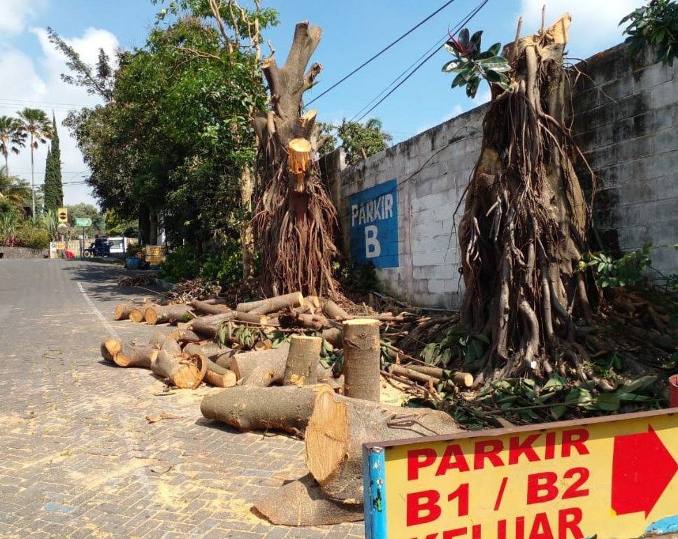 Kritisi Pohon Ditebang di JTP 1, YUA Jatim Surati Dinas Terkait