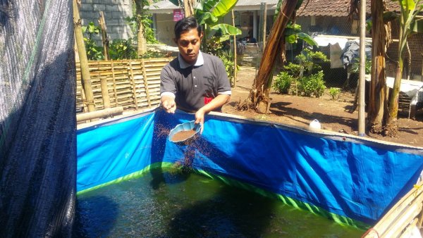 Kisah Motivasi Peternak Lele Millenial Turen, Inspirasi Usaha Kala Pandemi