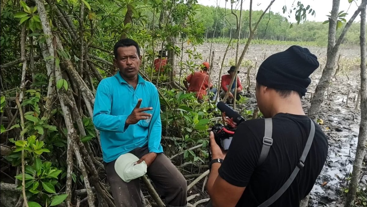 Hujan Simpati, Azizi Sulap Pesisir 456 HA Ditanami Mangrove