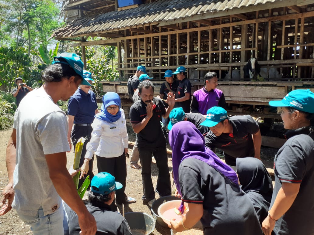 Petani Rakyat Dampit Buat Pupuk dari Limbah Ternak