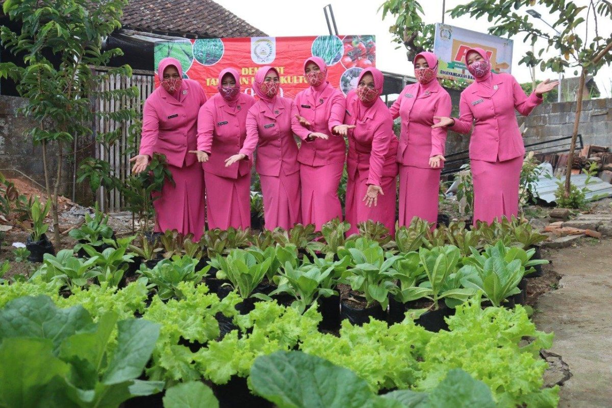 Sukseskan Program P2L, Kapolres Batu dan Ketua Bhayangkari, Ajak Anggota Manfaatkan Pekarangan