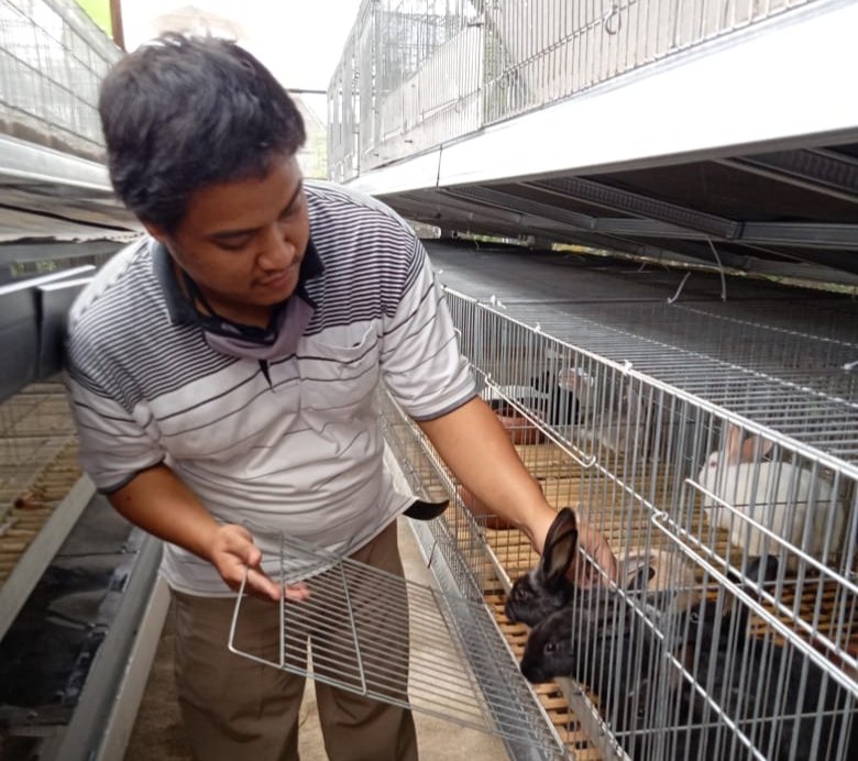 Bantu Dongkrak Produktivitas Peternak Kelinci Saat Pandemi, Kegiatan PKM PTS Lakukan Hal Ini