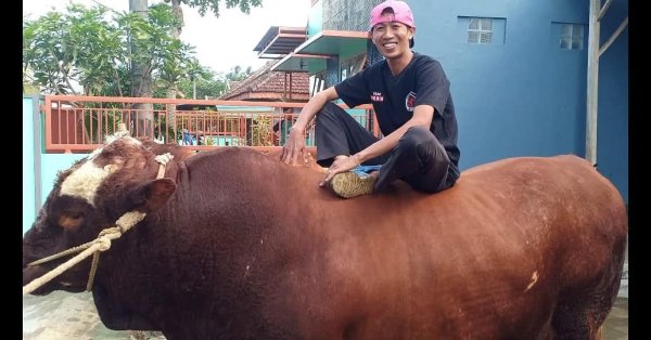 Kiprah Pemuda YouTuber Sapi Gedangan Ini, bisa jadi Motivasi di Tengah Pandemi