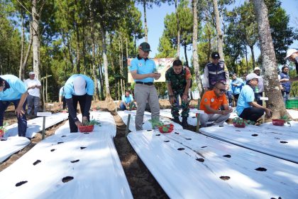 Pj. Wali Kota Batu Tanam Brokoli Organik Bernilai Ekonomi Tinggi di Desa Tulungrejo