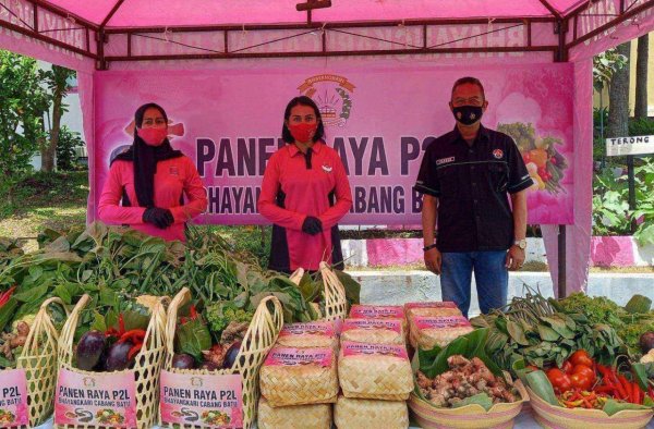 P2L Bhayangkari Cabang Batu, Panen Sayuran dan Ikan
