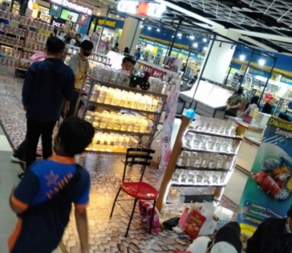 Pameran Ikan Hias di Matos, Jadi Trend Baru