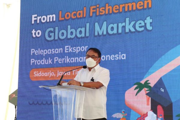 Ekspor Cangkang Sawit ke Jepang, Kemendag RI: Cetak Transaksi USD 12 Juta