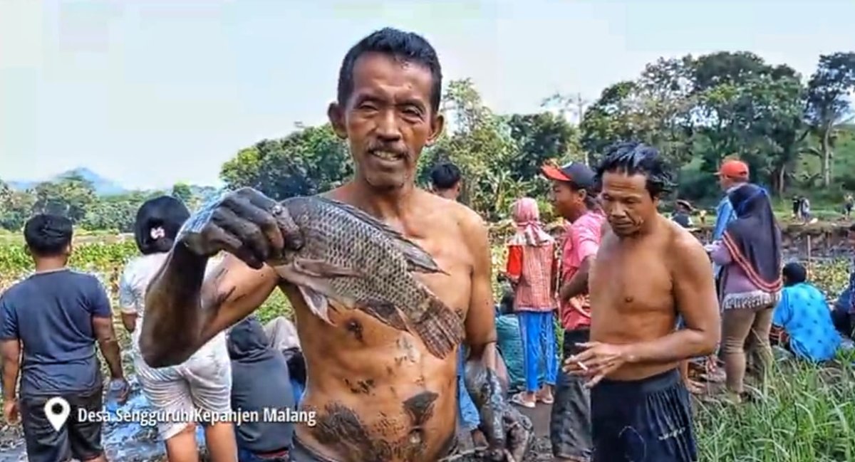 Berkah Flushing di Bendungan Sengguruh, Ini Cerita KeseruanPenangkapan Ikan