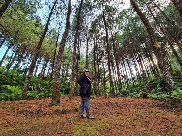 Alas Pakis Disukai Wisatawan, Dial Foundation Sukses Beri Pendampingan