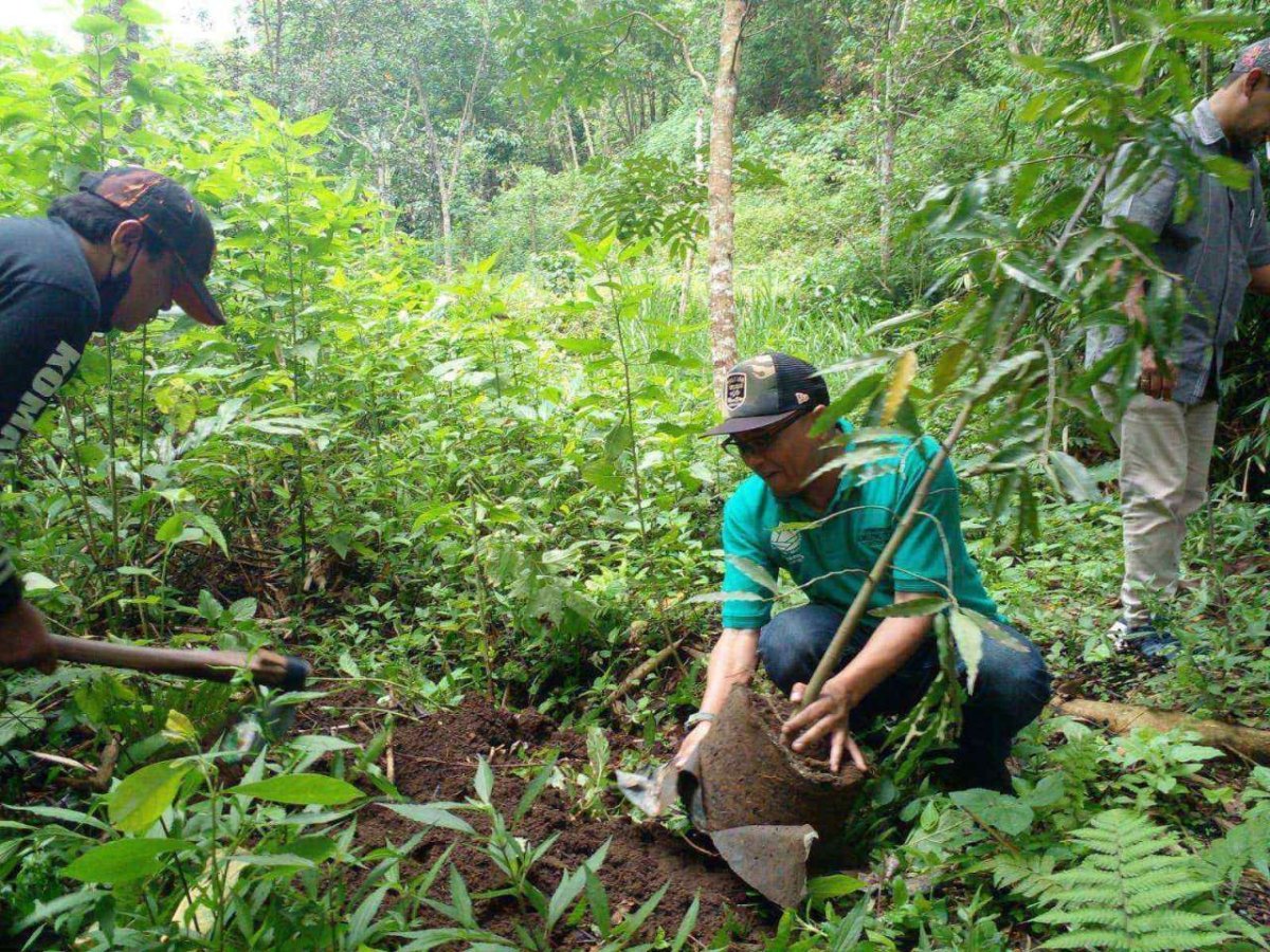 Peduli Lingkungan, Dirut Perumdam Among Tirto Kota Batu Ajak Masyarakat Tanam Pohon