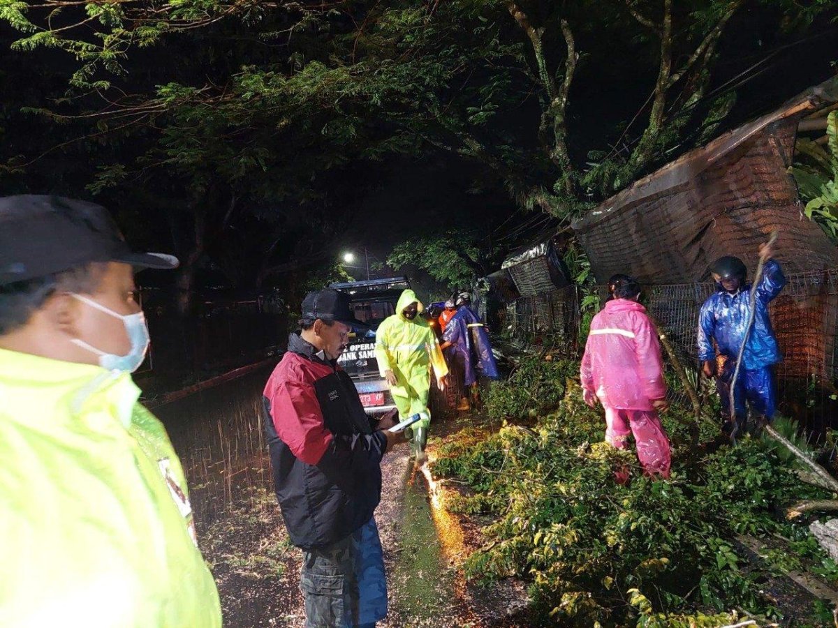 Tanggap Bencana, Anggota Samapta Polres Batu Lakukan Pengamanan Pohon Tumbang