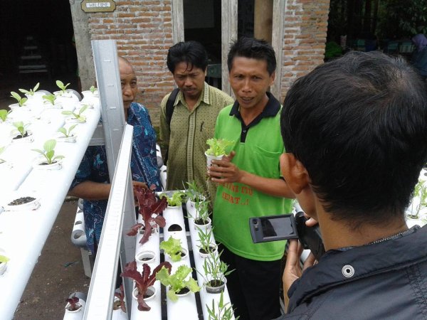 Refleksi Hari Pertanian, Begini Kata Basiri Petani Hidroganik Pagelaran