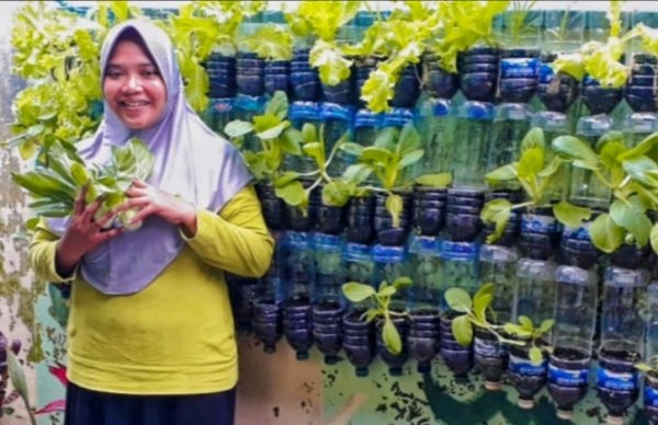 Ngabuburit dengan Memetik Sayur Gratis di Urban Farming KTS Dinoyo Patmanam