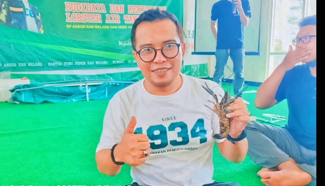 Sukses, PC GP Ansor dan Hero Farm Budidaya Lobster di Tengah Pandemi