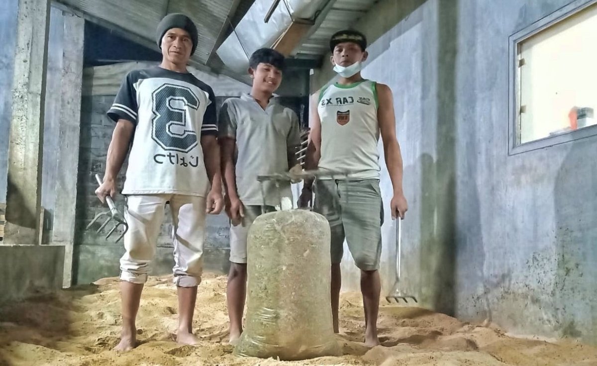 Pemuda Pujon Buat Pakan Complet Feed, Ringankan Beban Peternak Saat Pandemi